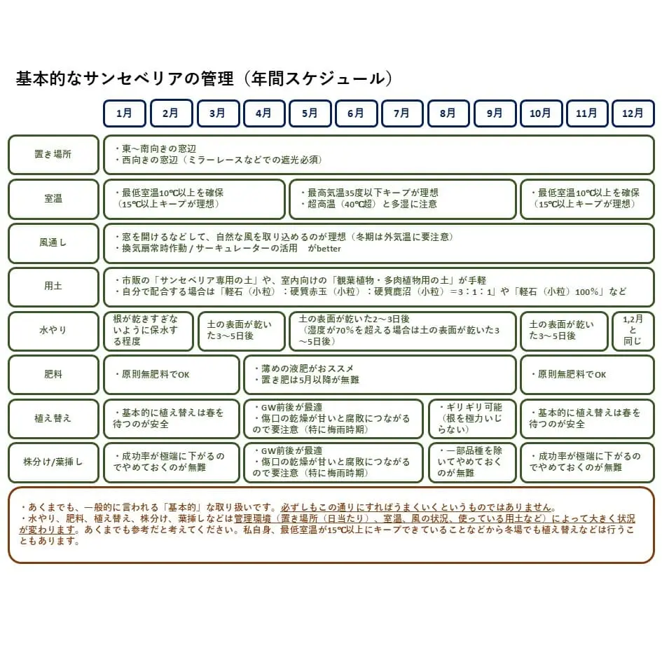 サンセベリア_基本スケジュール
